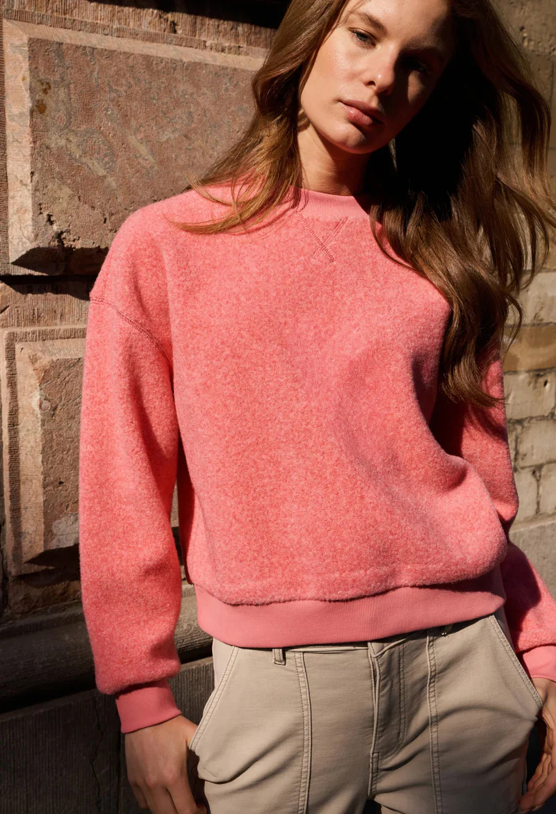 Teddy Jumper